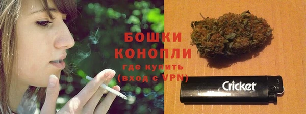 трава Инта