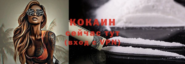 трава Инта