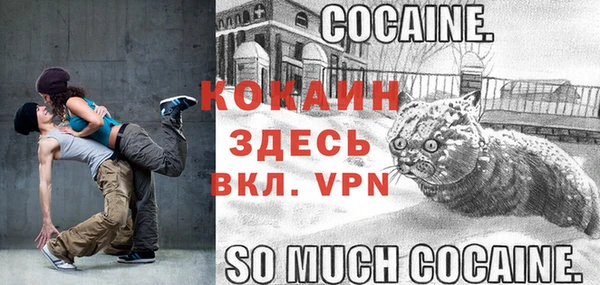 трава Инта