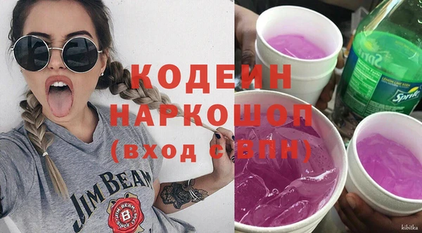 трава Инта