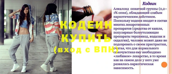 трава Инта