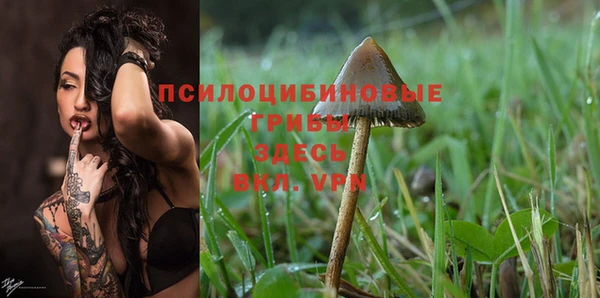 jwh Иннополис
