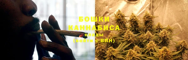 трава Инта
