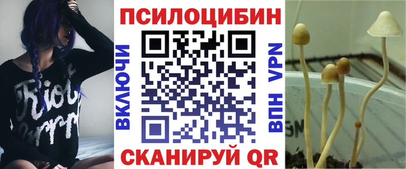 Купить закладки  Костомукша  Псилоцибиновые грибы Psilocybe 