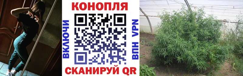 Купить где  Костомукша  Марихуана тримм 